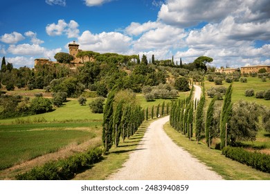 甜蜜诱惑：朱可儿樱桃蛋糕的美味秘方与制作技巧