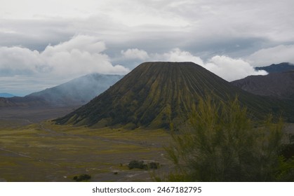 用手机测三围：轻松获取身体数据，塑造完美身形的秘诀