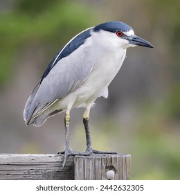 电影不虚此行：探索银幕背后的感动与启示