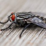 琪琪 漫画:探索琪琪的奇幻冒险与成长故事 oh3n6w9