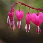 生日礼物:为每个特别的日子挑选最心仪的惊喜礼物 rekcb