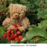 生物打印技术的未来:重塑医学与工程的边界 vwa6uatr