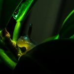 电影 在线观看免费:畅享最新热门影片,无需付费轻松观看 zd7t82qq