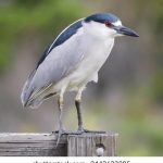 福利书签推荐:提升阅读体验的必备书签精选与使用技巧 1jmp5ib6j