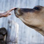 神秘通道秘密人口:探索隐藏在城市深处的未知世界与秘密社群 1qfglq