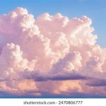 禁满天堂 回家的路:寻找心灵归属的旅程与启示 2tgqh71