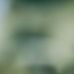 禁漫天:探索网络文化中的禁忌与自由 i1zgj0j