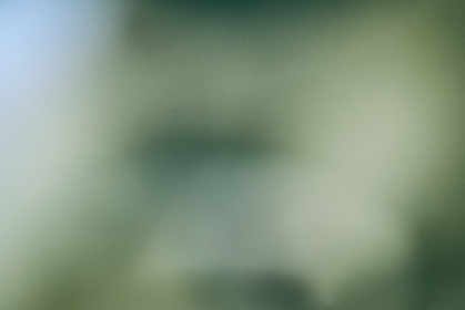 禁漫天：探索网络文化中的禁忌与自由