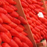 神马影院达达兔在线观看:畅享最新热门电影与精彩剧集的最佳选择 rvyot3k