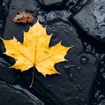 禁闭岛在线观看完整版免费:揭开心理惊悚的神秘面纱 woog6